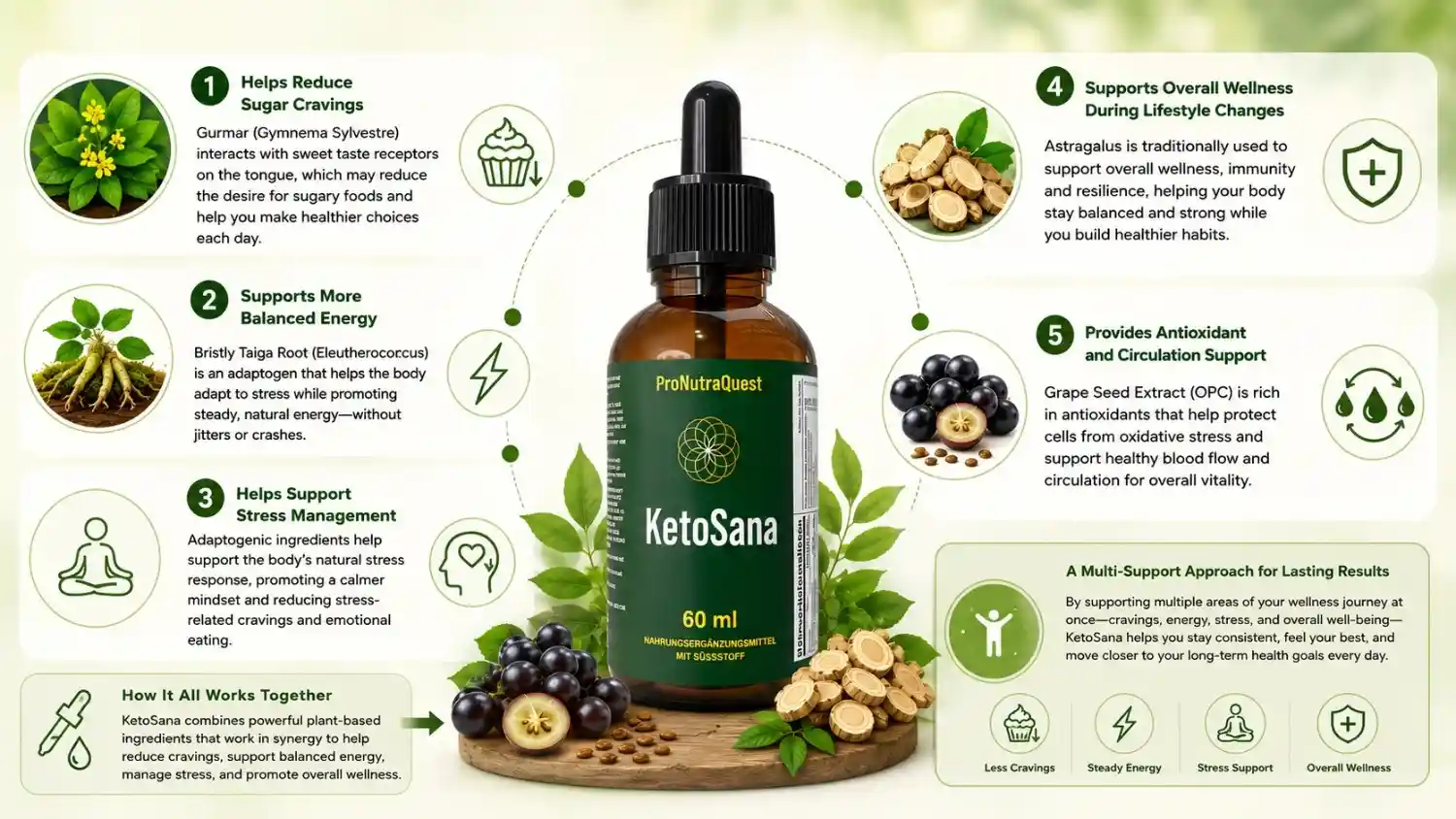 KetoSana how to work