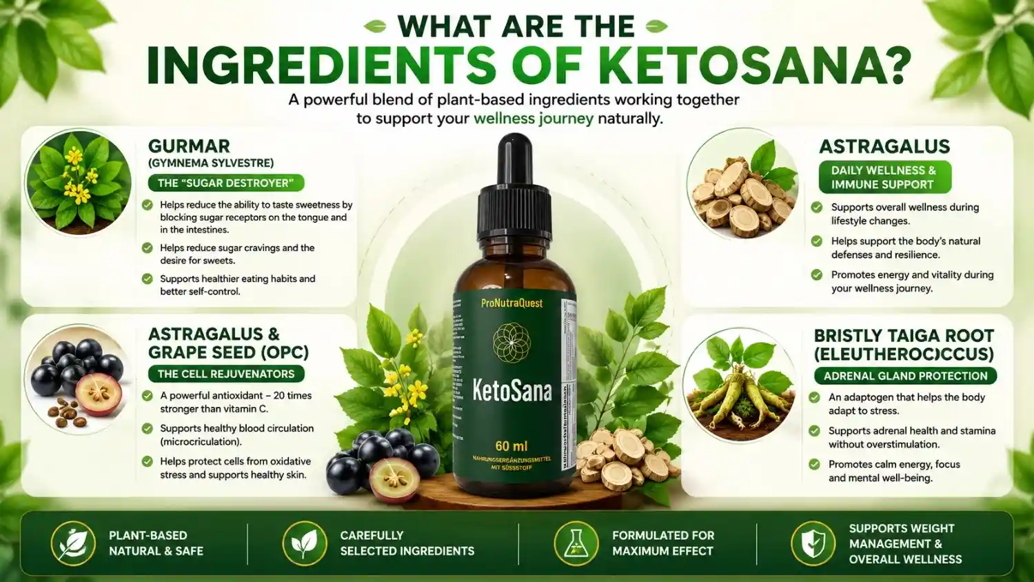 KetoSana ingredients